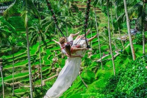 أرجوحة فوق مدرجات الأرز